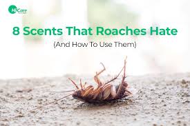 8 Scents that Cockroaches Hate