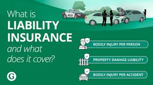 Why Opt for Liability-Only Insurance